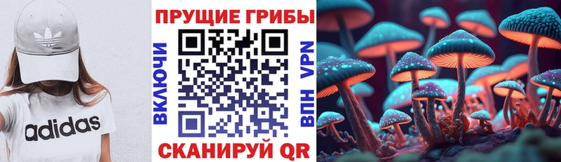 Галлюциногенные грибы GOLDEN TEACHER  Отрадный 